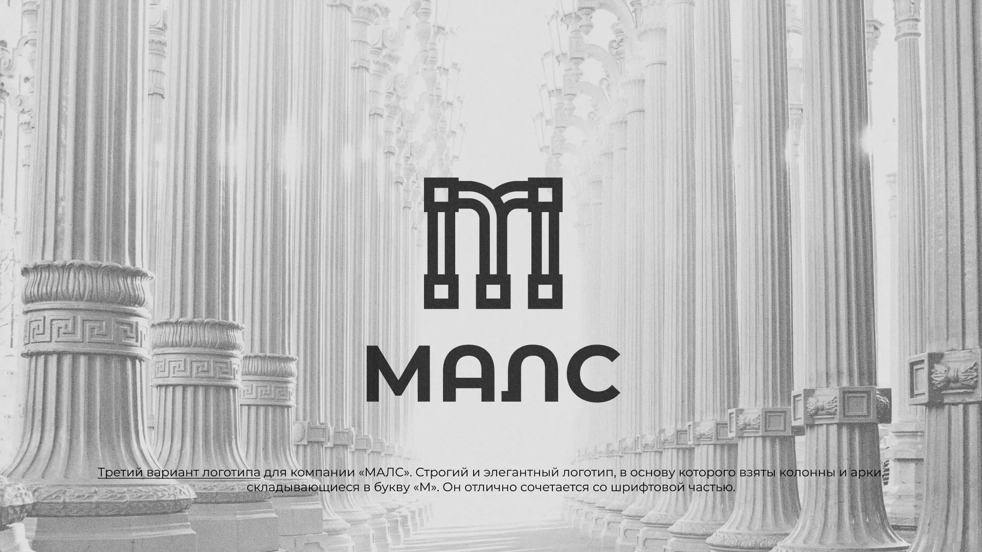 Разработка логотипа компании «МАЛС» в Анадыре