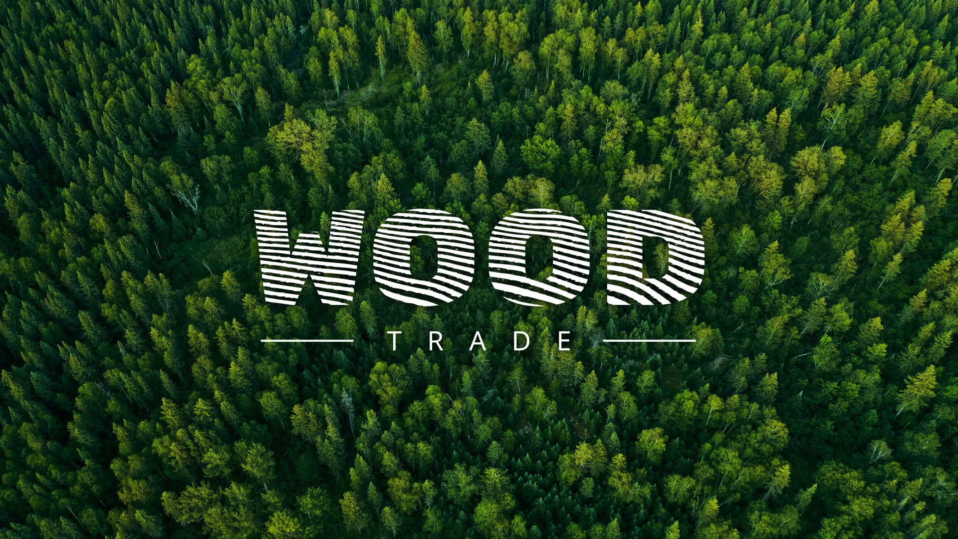 Разработка интернет-магазина компании «Wood Trade» в Анадыре
