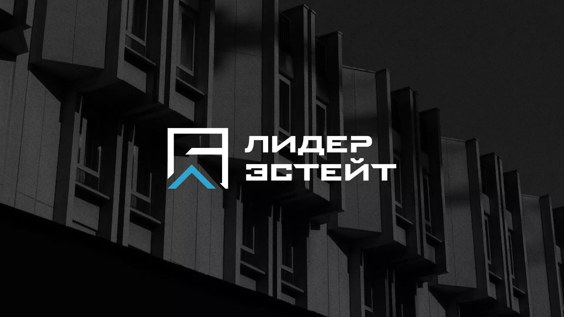Разработка логотипа агентства недвижимости «Лидер Эстейт» в Анадыре